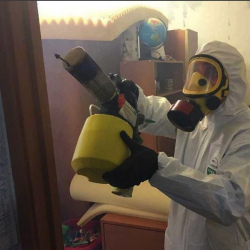 Уничтожение клопов в квартире. Девяткино